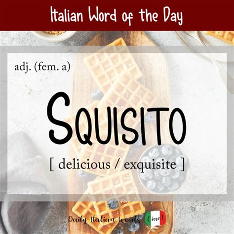 tutto squisito|squisito meaning.